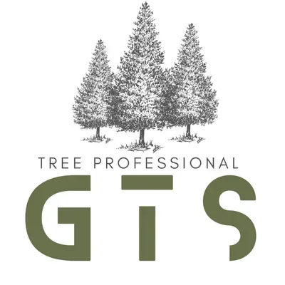 GTS tree professionnal