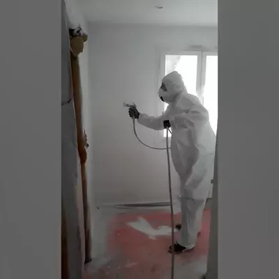 Encizo-Ulloa's Painting INC