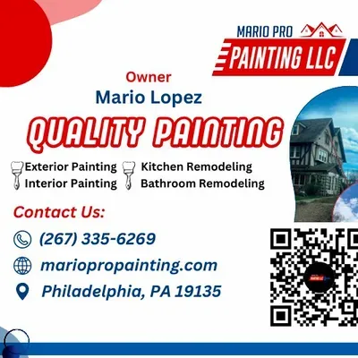 Mario pro painting LLC