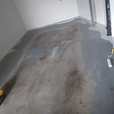Alpha Paint Company