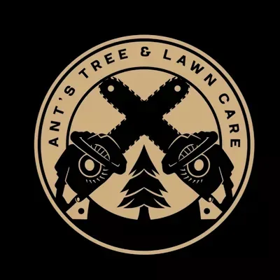 Ants Tree & Lawn Care LLC