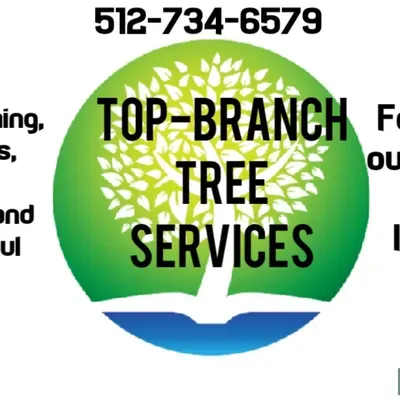 Top-BranchTree&Landscape