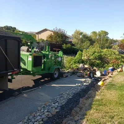 Gaspar tree service