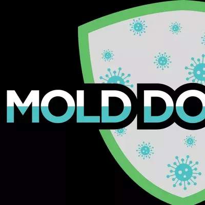 Mold Doctor Pros, LLC