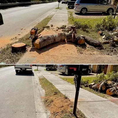 G B TREE SERVICE
