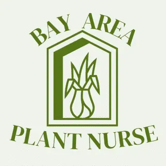 Bay Area Plant Nurse
