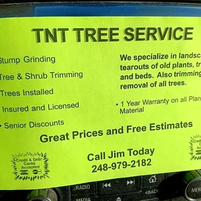 tnt landscape and tree