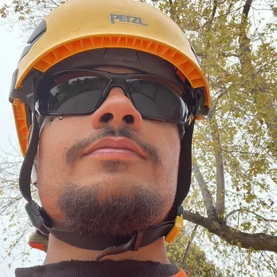 Control+X tree services