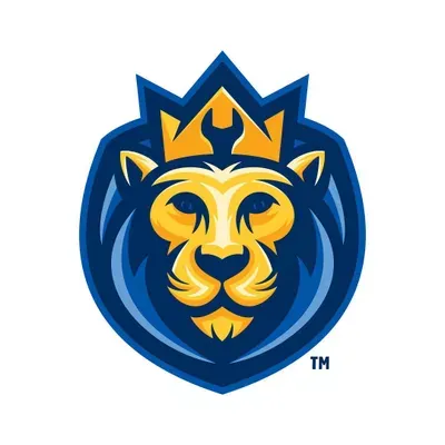 Service Lion Plumbing Heating Air Electric
