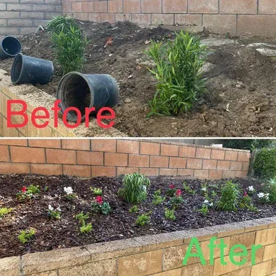 Hi-Life Gardening