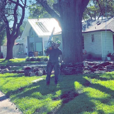 Georgetown Tree Services