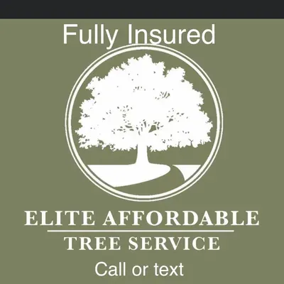 Affordable Tree Service and landscaping
