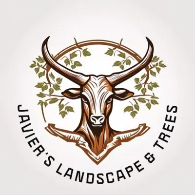 Javiers landscape/ tree trimming