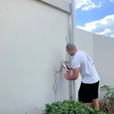 The Prolific Painting Company