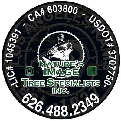 Natures Image Trees