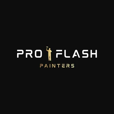 ProFlash Painters