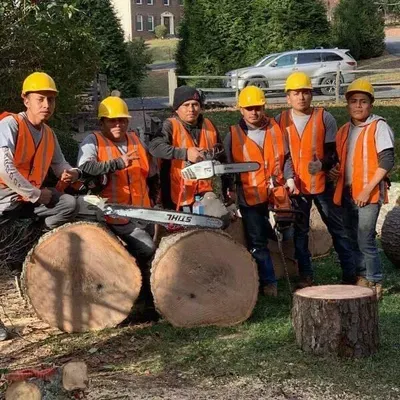 Pedro Tree service LLC