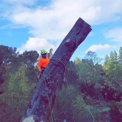 E-P Tree Service