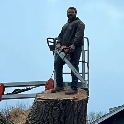 TNT Tree Service