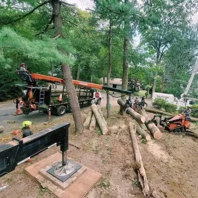 Mario’s Tree Service LLC