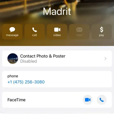 Madrit’s Painting
