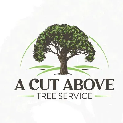 A Cut Above Tree Service