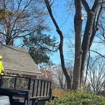 M.C.C TREE SERVICE