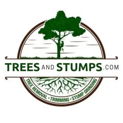Trees And Stumps