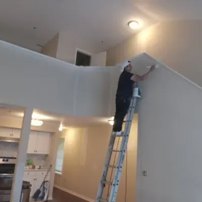 pro Interior painting/ renovation