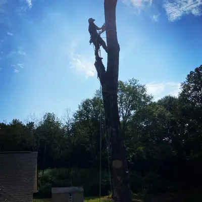 Kiw With a Chainsaw LLC