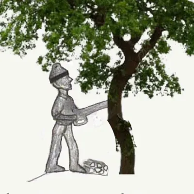 Affordable Approach Tree Service