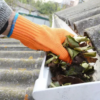 Quick Gutter Cleaning