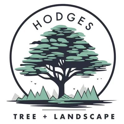 Hodges Tree and Landscape