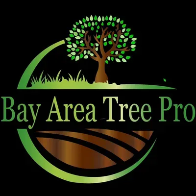 Bay Area tree pro