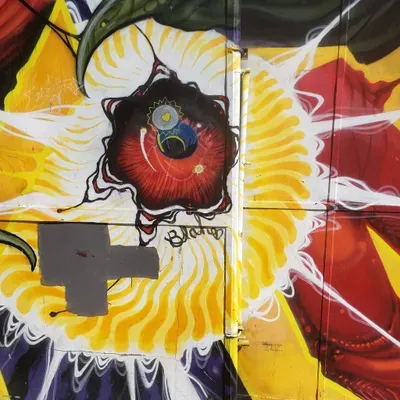 Eagle Colors Painting