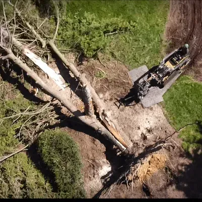 Captain’s Tree Service LLC