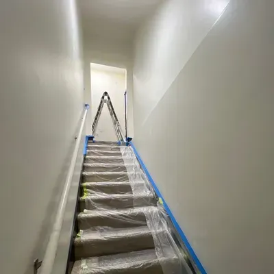 CarimPainting
