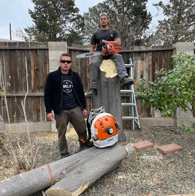 A&Z Pro tree service