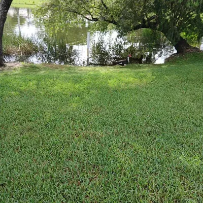 Atanasio's mowing trimming & more