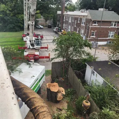 Oak’s Tree Service ?