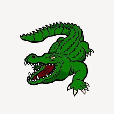 GatorBack Solutions