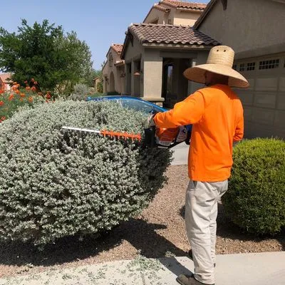 Arizona Sunset Landscaping