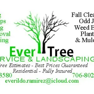 Ever Tree Service and Landscaping