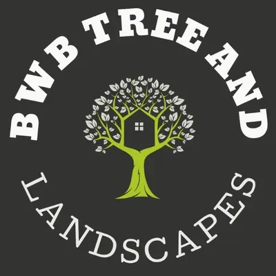 BWB Tree and Landscapes