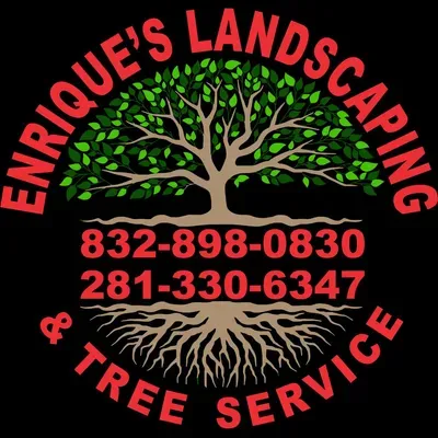 Enrique’stree&lawn service