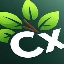 CX Property and Home