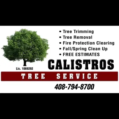 Calistro's Tree Service