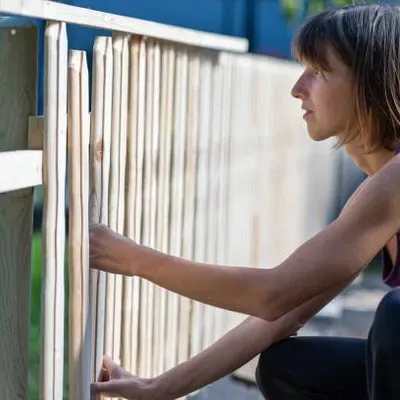 The Fence
