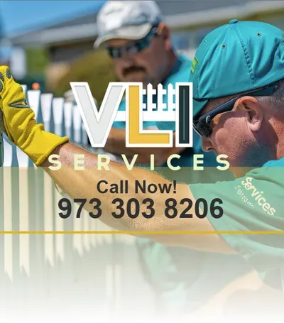 VLI Services