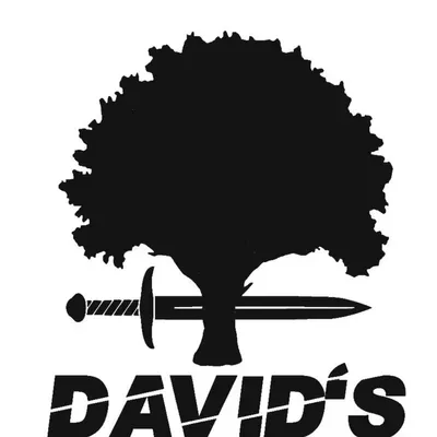 David's Tree Service & landscaping llc